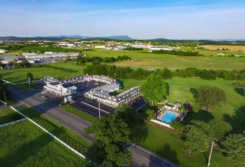 호텔 The Village Inn