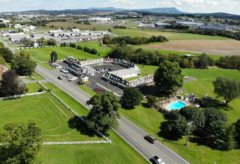 فندق The Village Inn