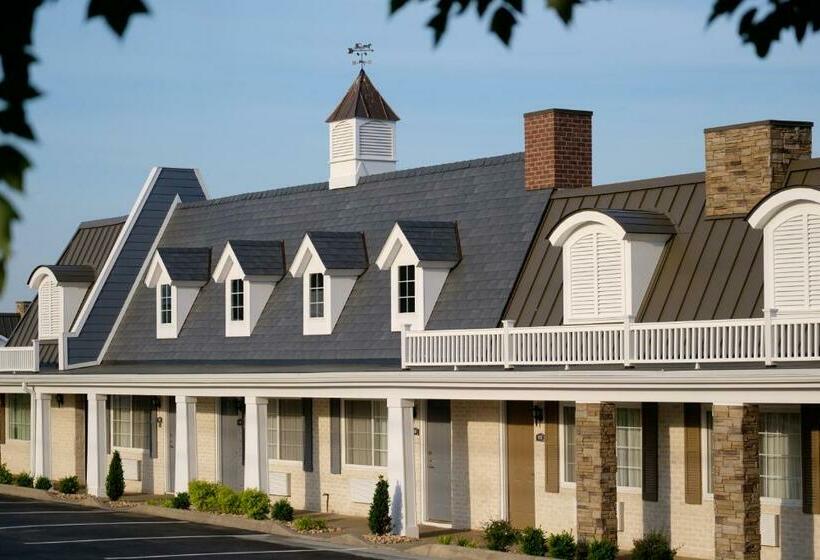 فندق The Village Inn