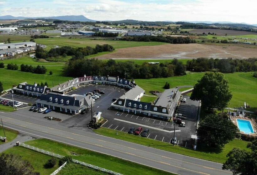 فندق The Village Inn