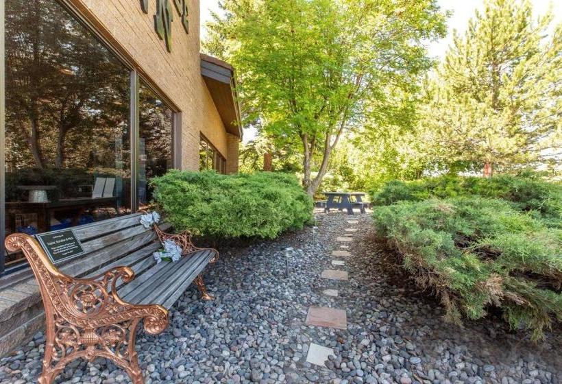 酒店 Western Heritage Inn Travelodge By Wyndham Bozeman