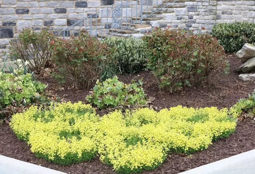 호텔 The Village Inn