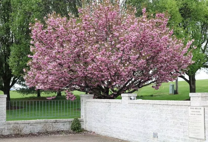 호텔 The Village Inn