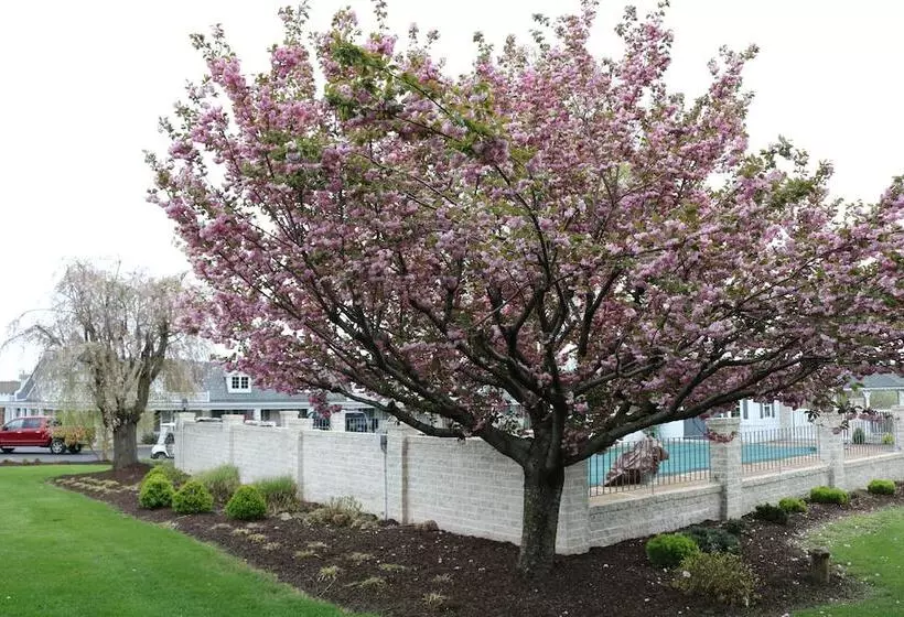 호텔 The Village Inn