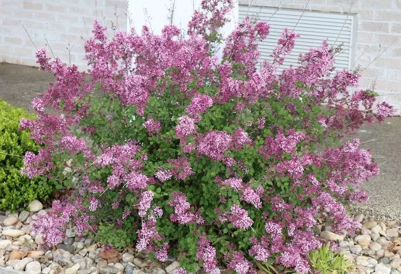 호텔 The Village Inn