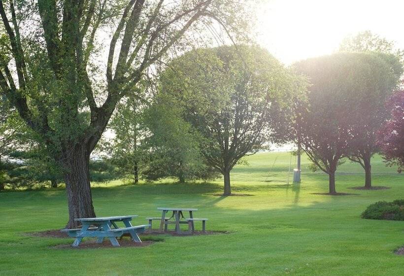 فندق The Village Inn