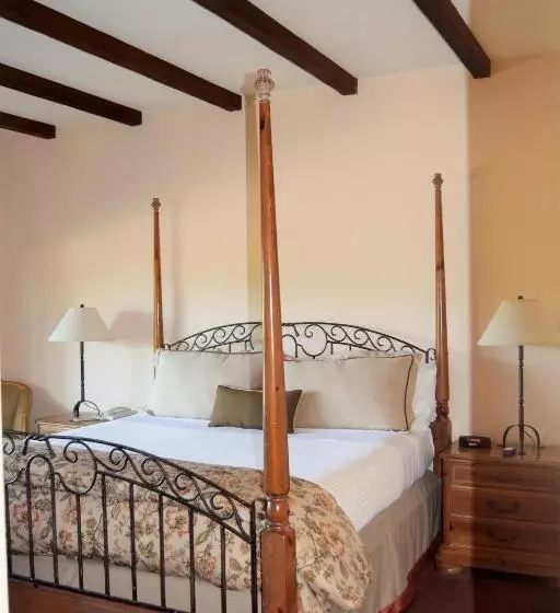 فندق Vineyard Country Inn