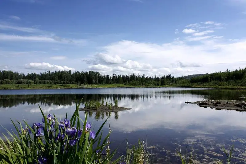 Wedgewood Resort
