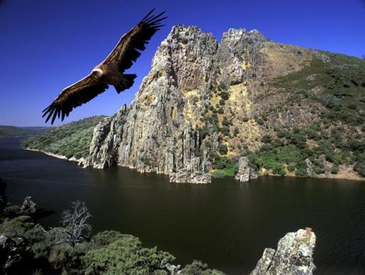 호텔 Posada El Arriero