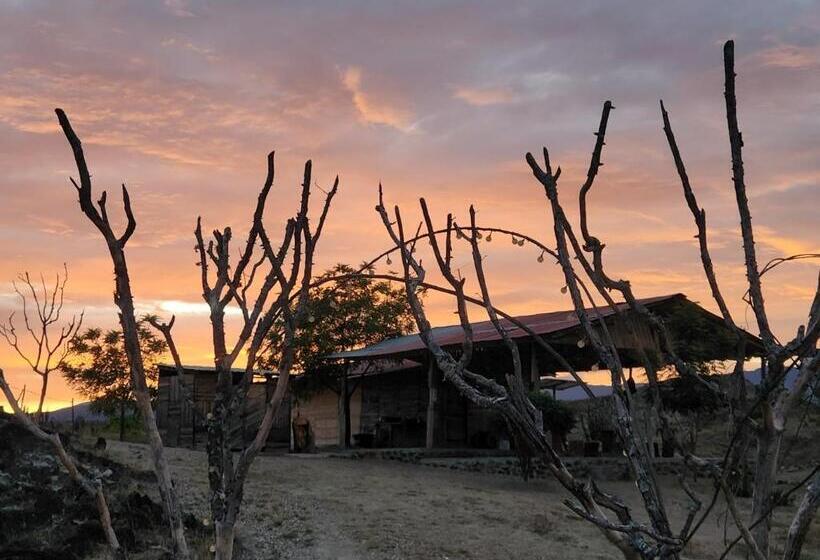 هتل Mana Star Lounge