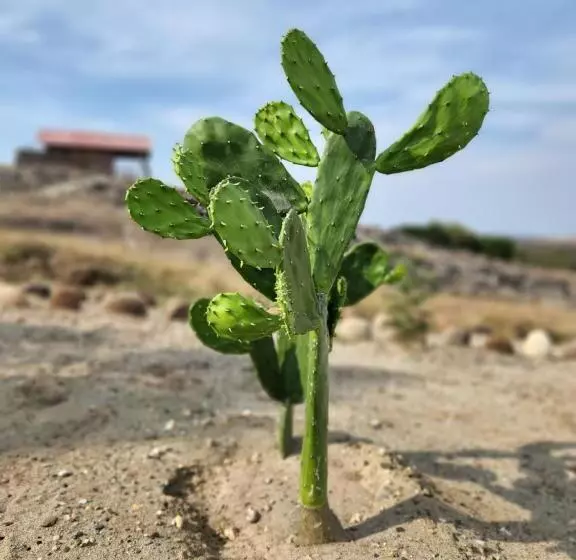 Hotelli Mana Star Lounge