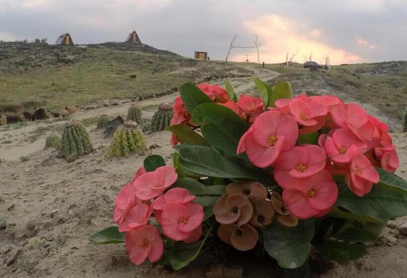 هتل Mana Star Lounge