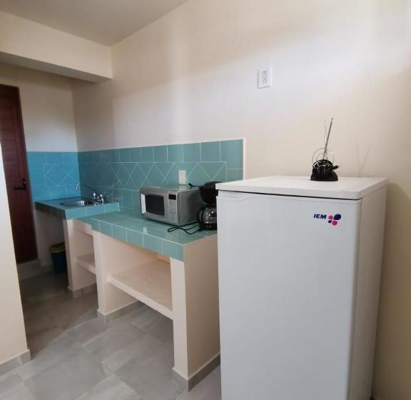 Departamentos Oaxaca Mágico