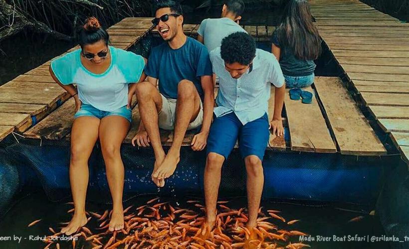 فندق Captain S Marina