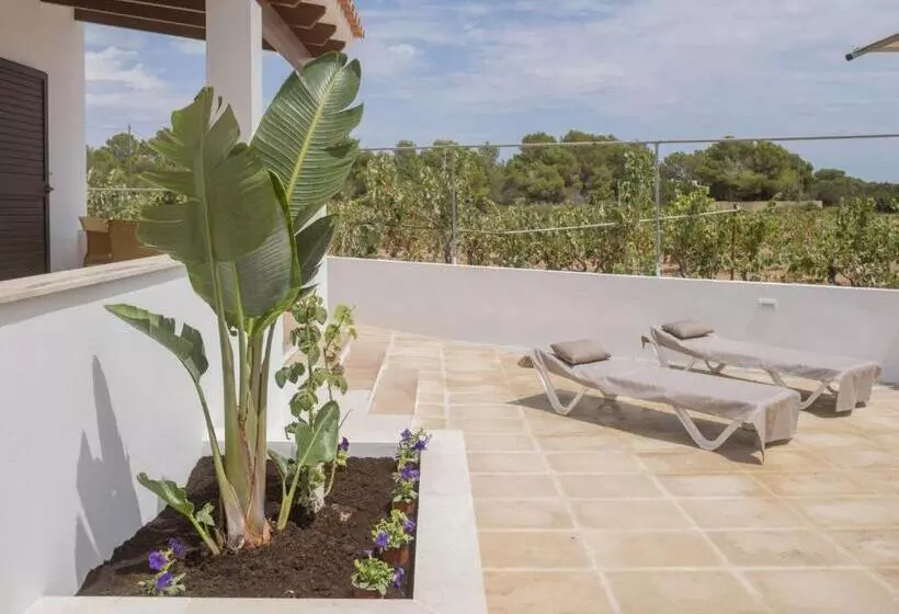 Stella Maris  Formentera Break