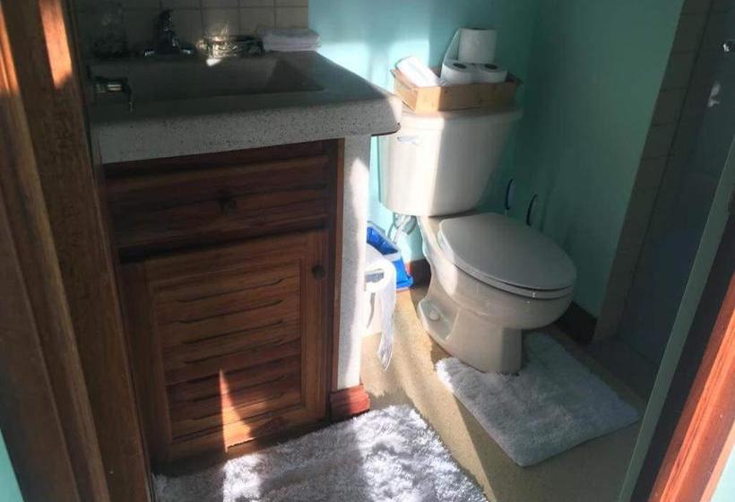 پانسیون Cañafistula Fourth Dimension