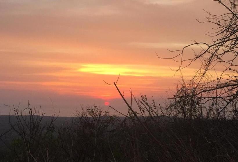 پانسیون Cañafistula Fourth Dimension