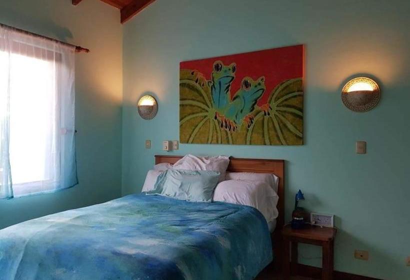 پانسیون Cañafistula Fourth Dimension