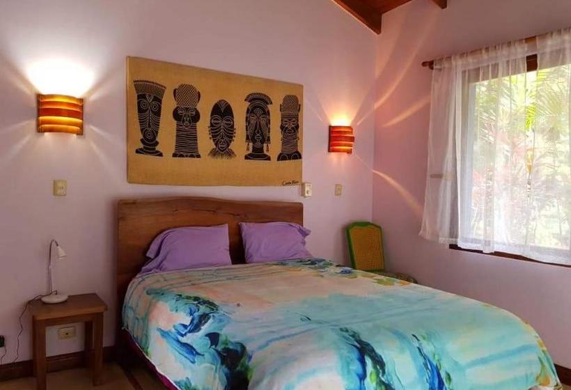 پانسیون Cañafistula Fourth Dimension