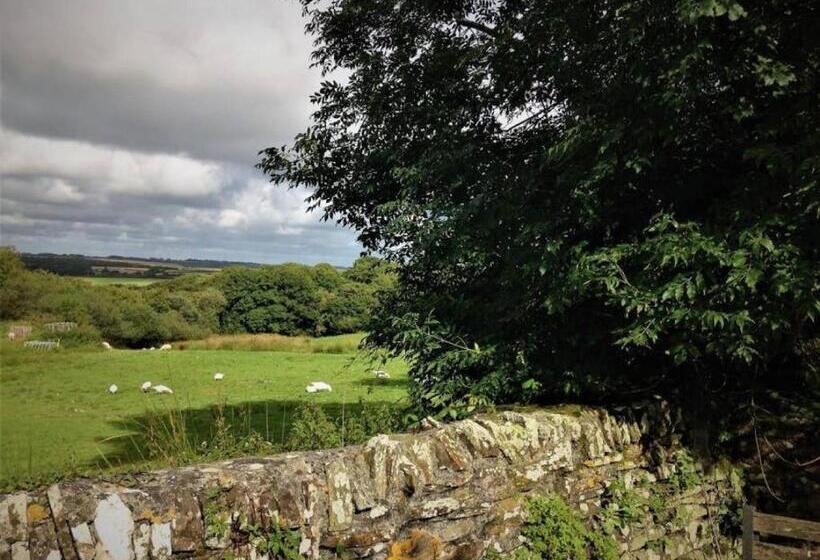 ベッドアンドブレックファースト Cottage Barn, Jacobstow