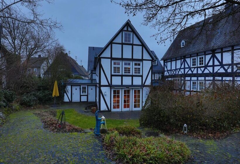 호텔 Fiester Hannes