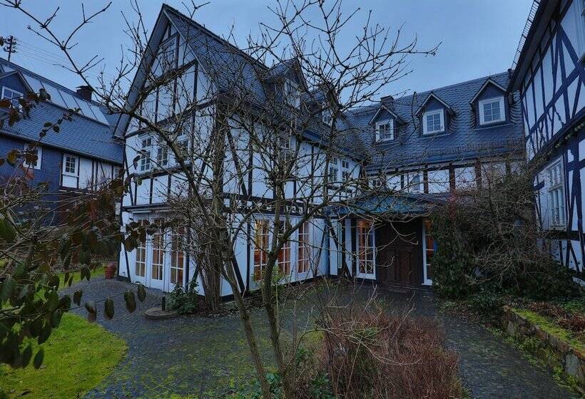 호텔 Fiester Hannes