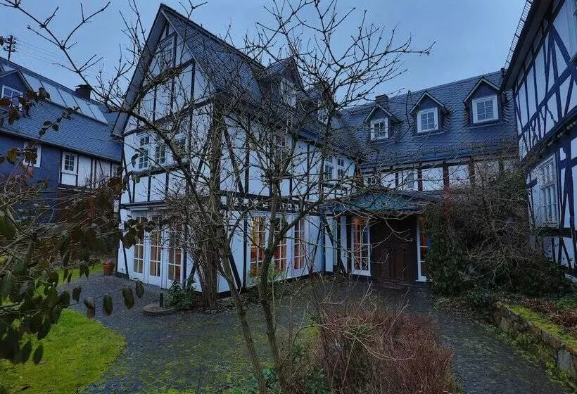 Hotelli Fiester Hannes