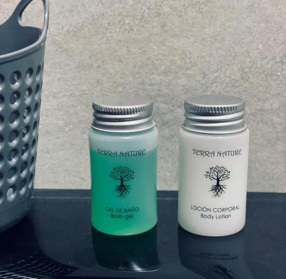 Apartahotel Canfranc