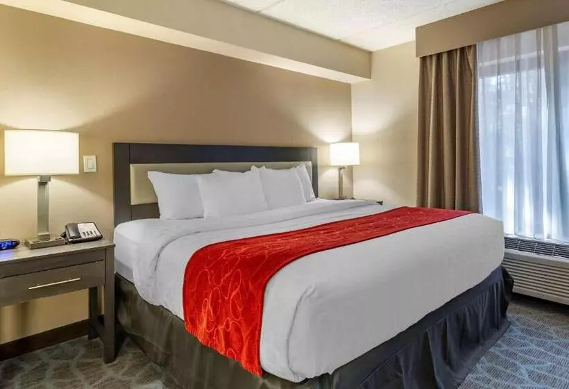 ホテル Comfort Suites Alpharetta Roswell   Atlanta Area
