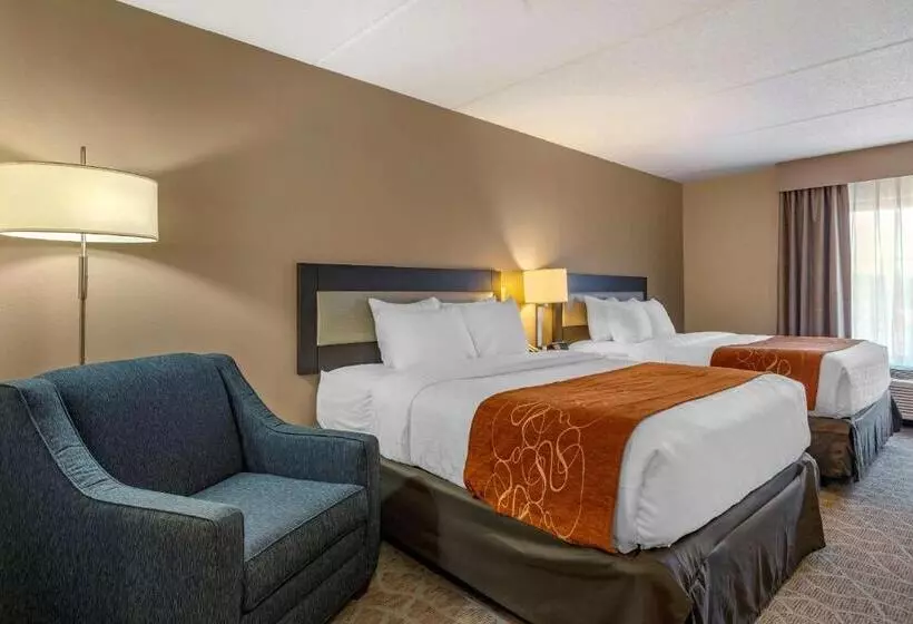 ホテル Comfort Suites Alpharetta Roswell   Atlanta Area