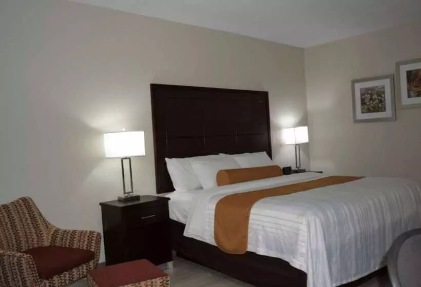 هتل Orangewood Inn & Suites Kansas City Airport