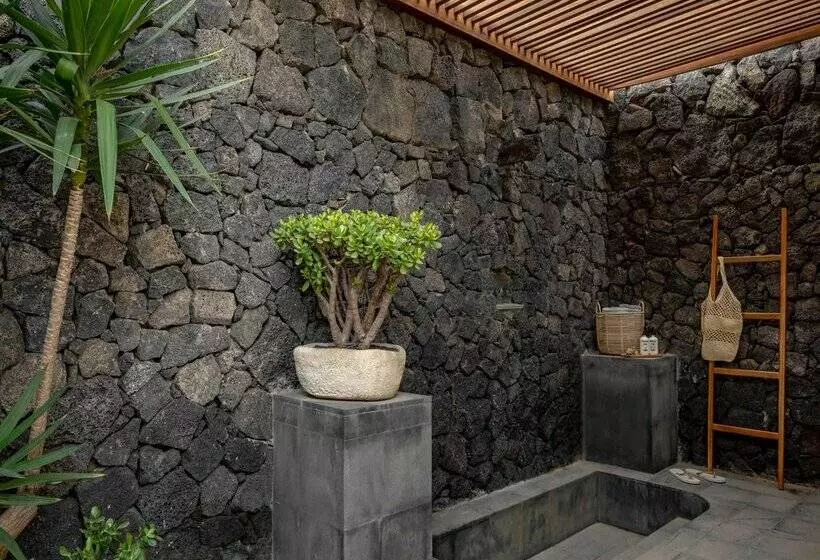 Hôtel Paradisus by Meliá Salinas Lanzarote