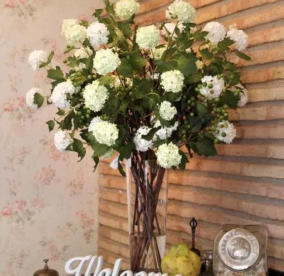 Отель Santa Maria De Alquezar