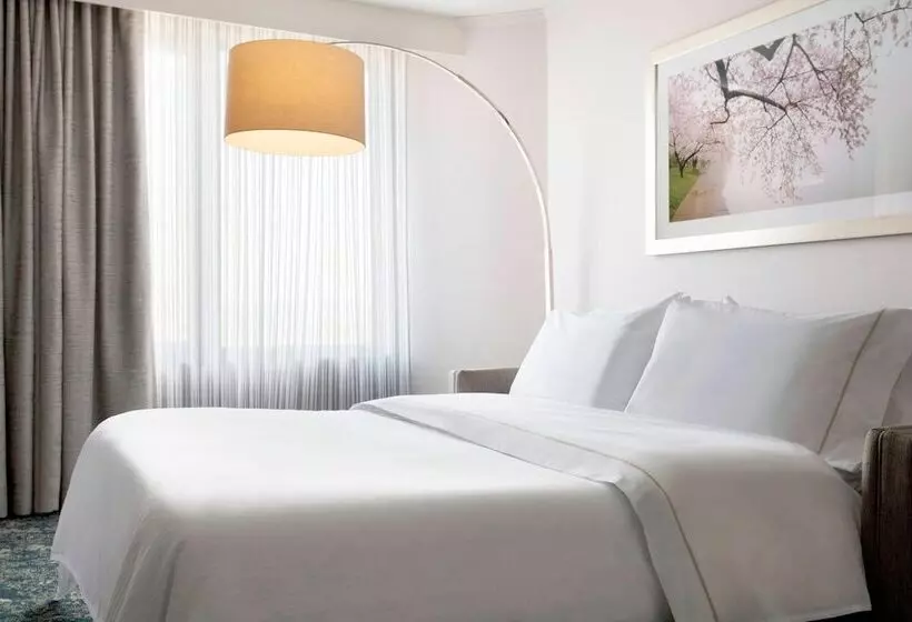 ホテル The Westin Washington, D.c. City Center