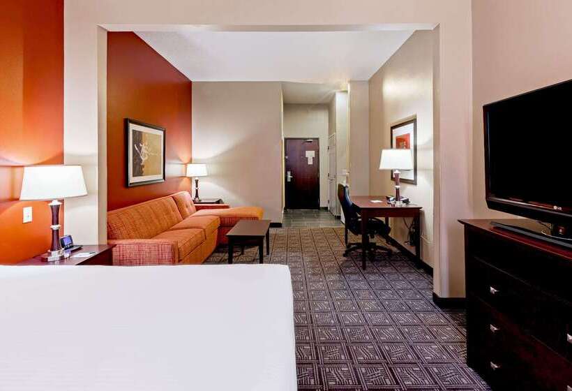 ホテル Comfort Inn & Suites Irving Las Colinas Dfw