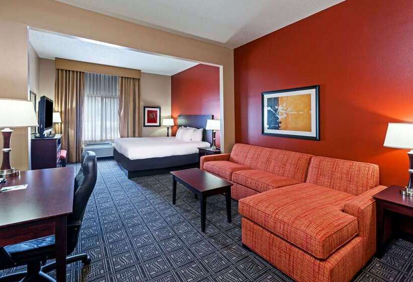 ホテル Comfort Inn & Suites Irving Las Colinas Dfw