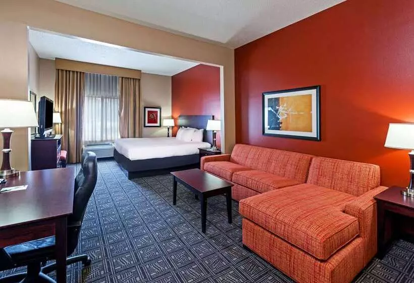 هتل Comfort Inn & Suites Irving Las Colinas Dfw