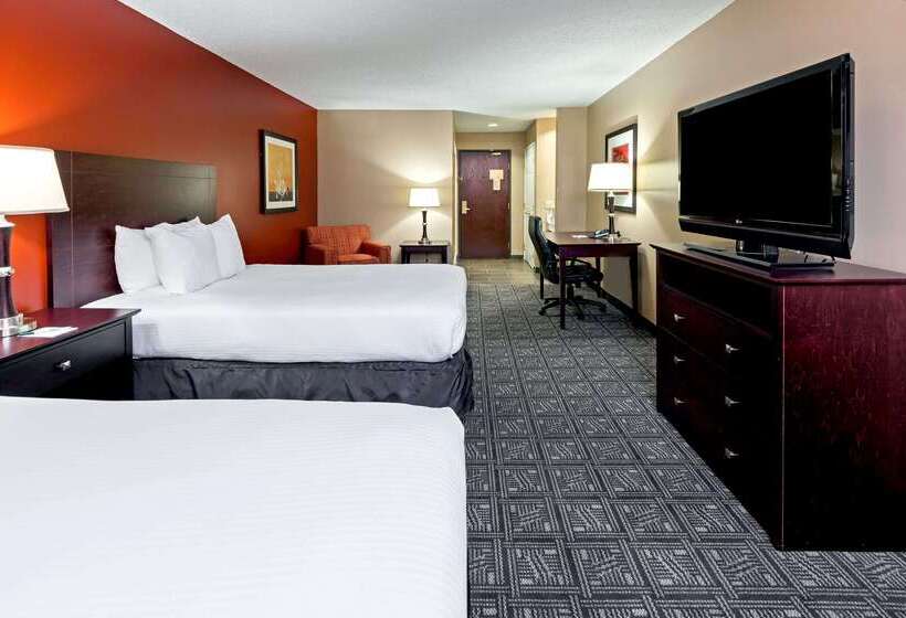 ホテル Comfort Inn & Suites Irving Las Colinas Dfw