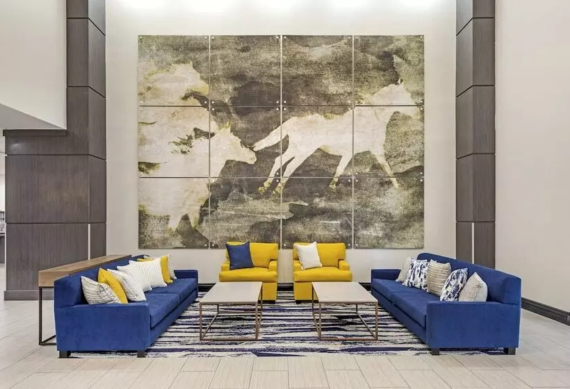 هتل Comfort Inn & Suites Irving Las Colinas Dfw