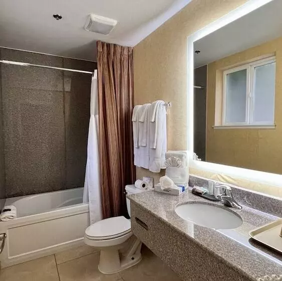 酒店 Yosemite View Lodge