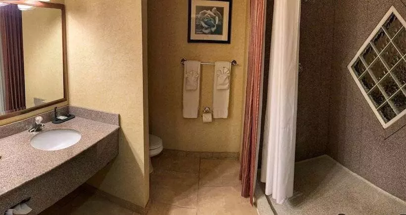 酒店 Yosemite View Lodge