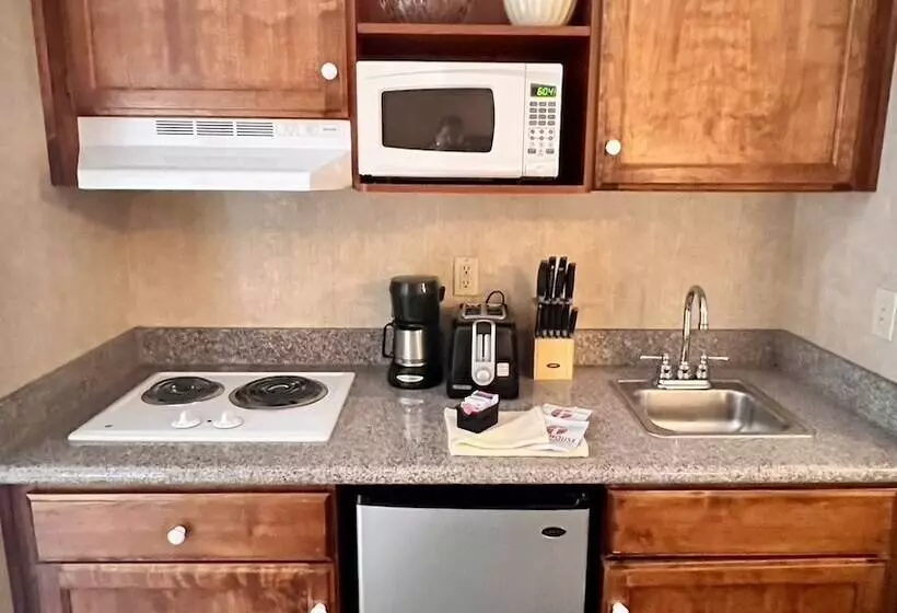 酒店 Yosemite View Lodge