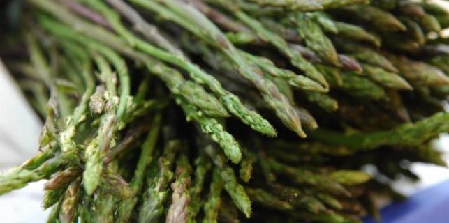 Rural Pension Istra Partner