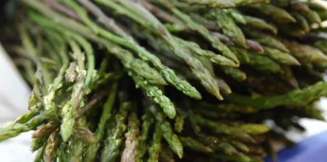 Rural Pension Istra Partner