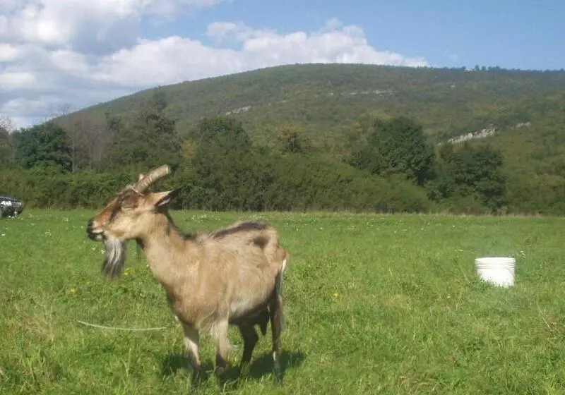 Rural Pension Istra Partner