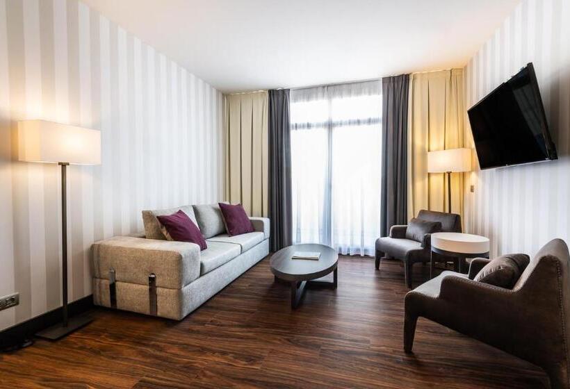 هتل Intelier Palacio San Martin