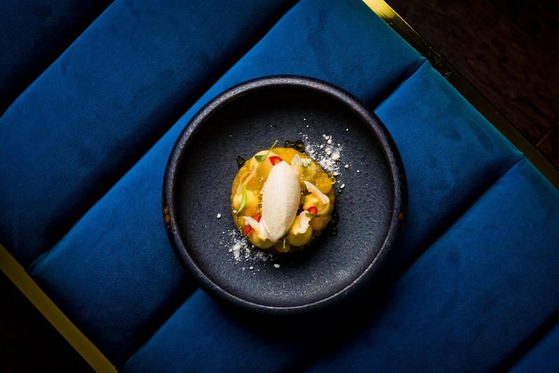 Hotel Plas Dinas Country House