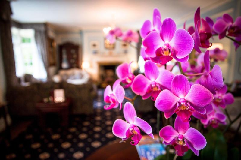 Hotel Plas Dinas Country House