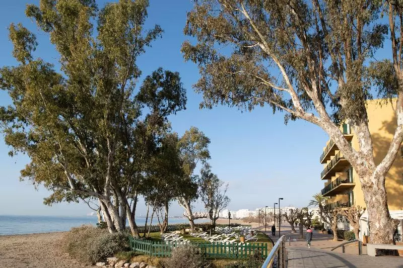 Отель Roses Platja