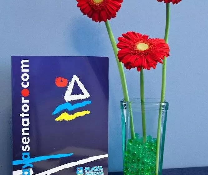 فندق Senator Parque Central